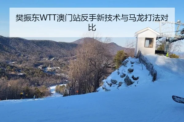 樊振东WTT澳门站反手新技术与马龙打法对比