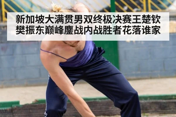 新加坡大满贯男双终极决赛王楚钦樊振东巅峰鏖战内战胜者花落谁家